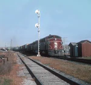 43415122_1999390767019517_4909020595670220800_n.jpg