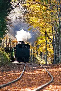 cass-shay-11-fall.jpg
