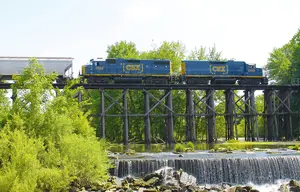 csx-rabbit-2021-rb.jpg