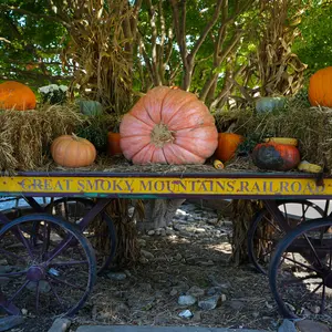 gsmr-pumpkin-train.jpg