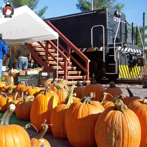 mcrm-pumpkin-special.jpg