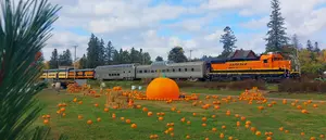 nssrr-great-pumpkin.jpg