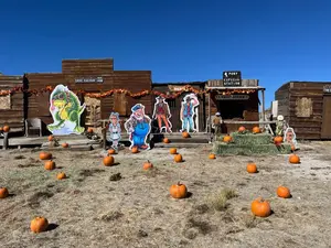 pumpkin-patch-caper-nn.jpg