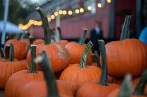 strasburg-halloween-pumpkins.jpg