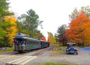 wwf-fall-foliage.jpg