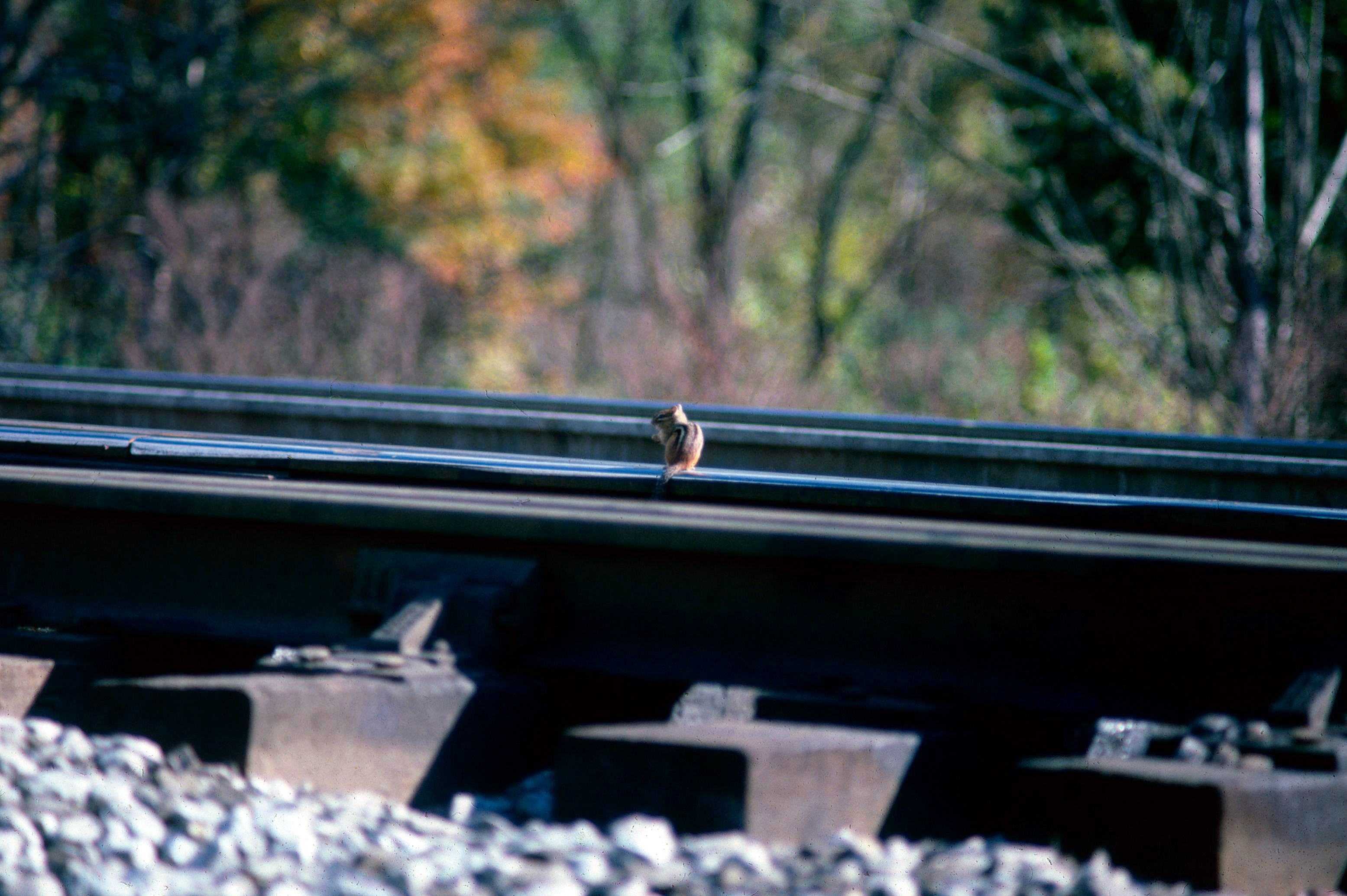 Railroad Track: Dimensions, Width, Weight-Per-Foot/Yard