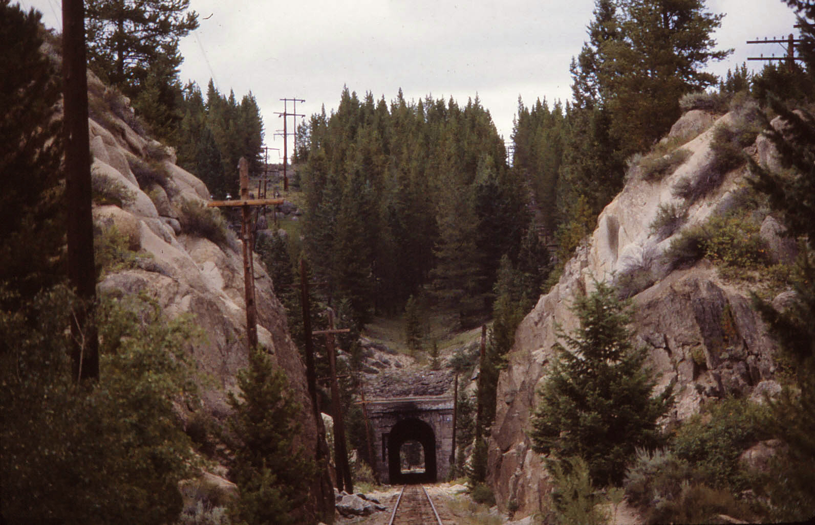 private tunnel free user pass private tunnel free user pass
