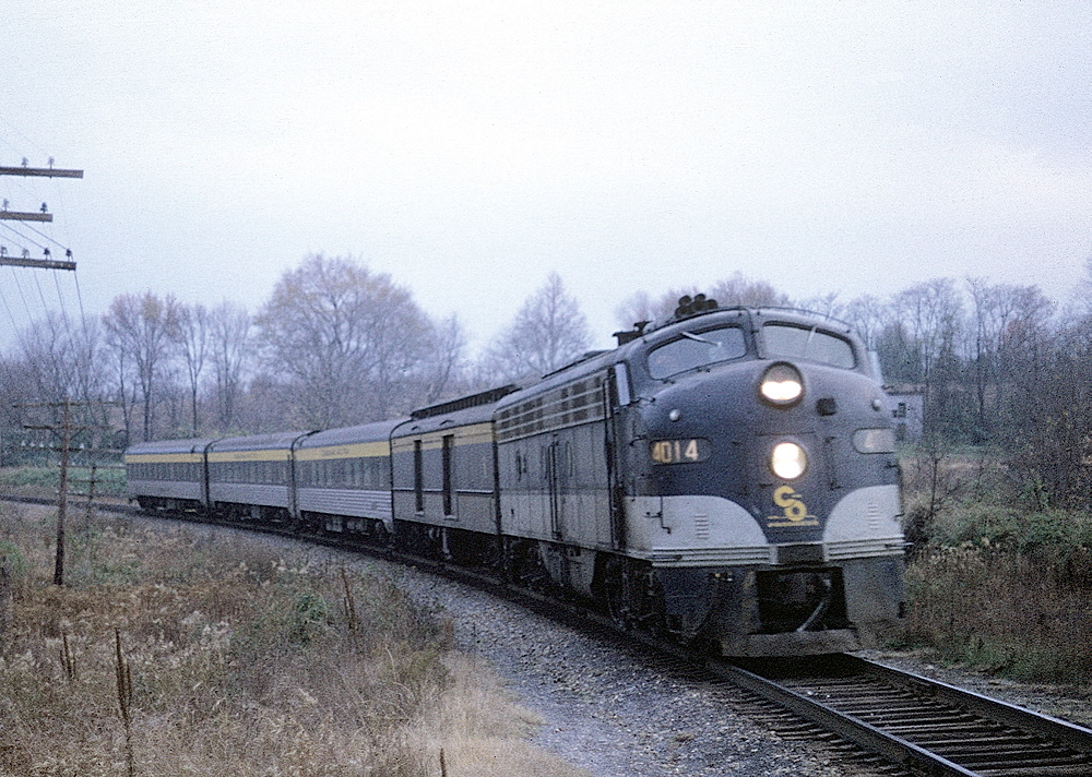 49296598228_a0d4724c57_o.jpg