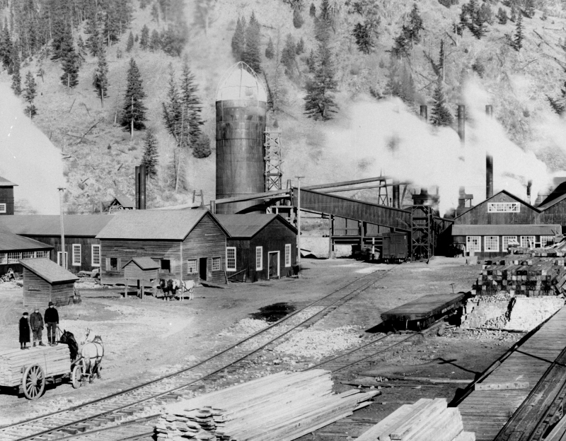 Montana Logging Railroads History & Overview