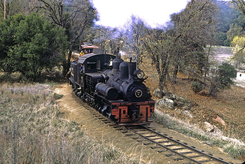  Gears in the Woods: 7 Different Steam Logging Operations in the  American West : Movies & TV