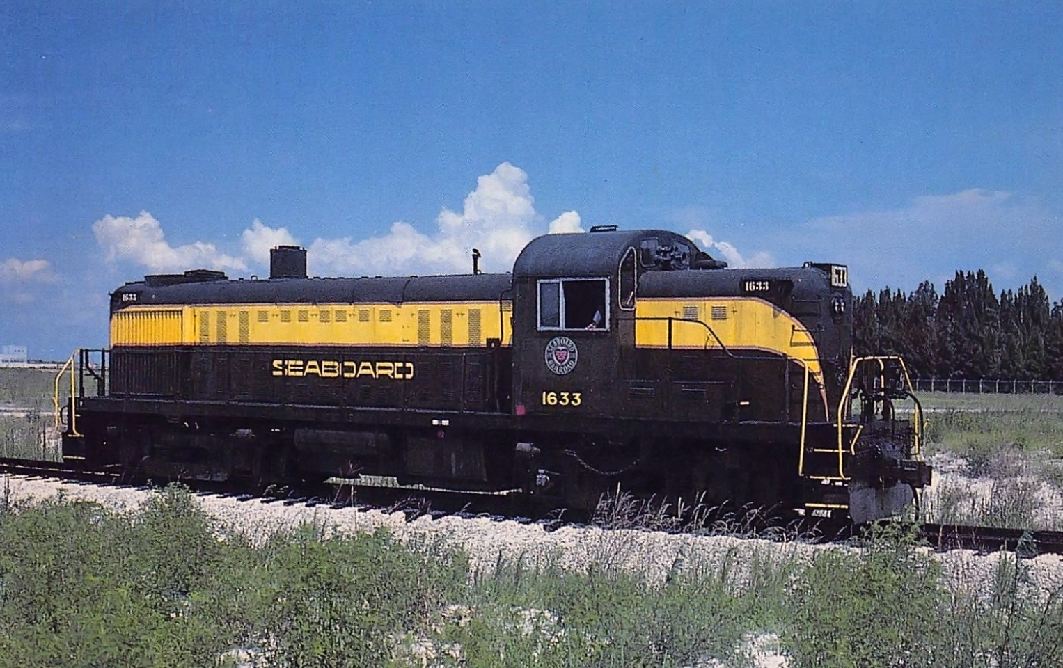 81723t1523512656778978.jpg