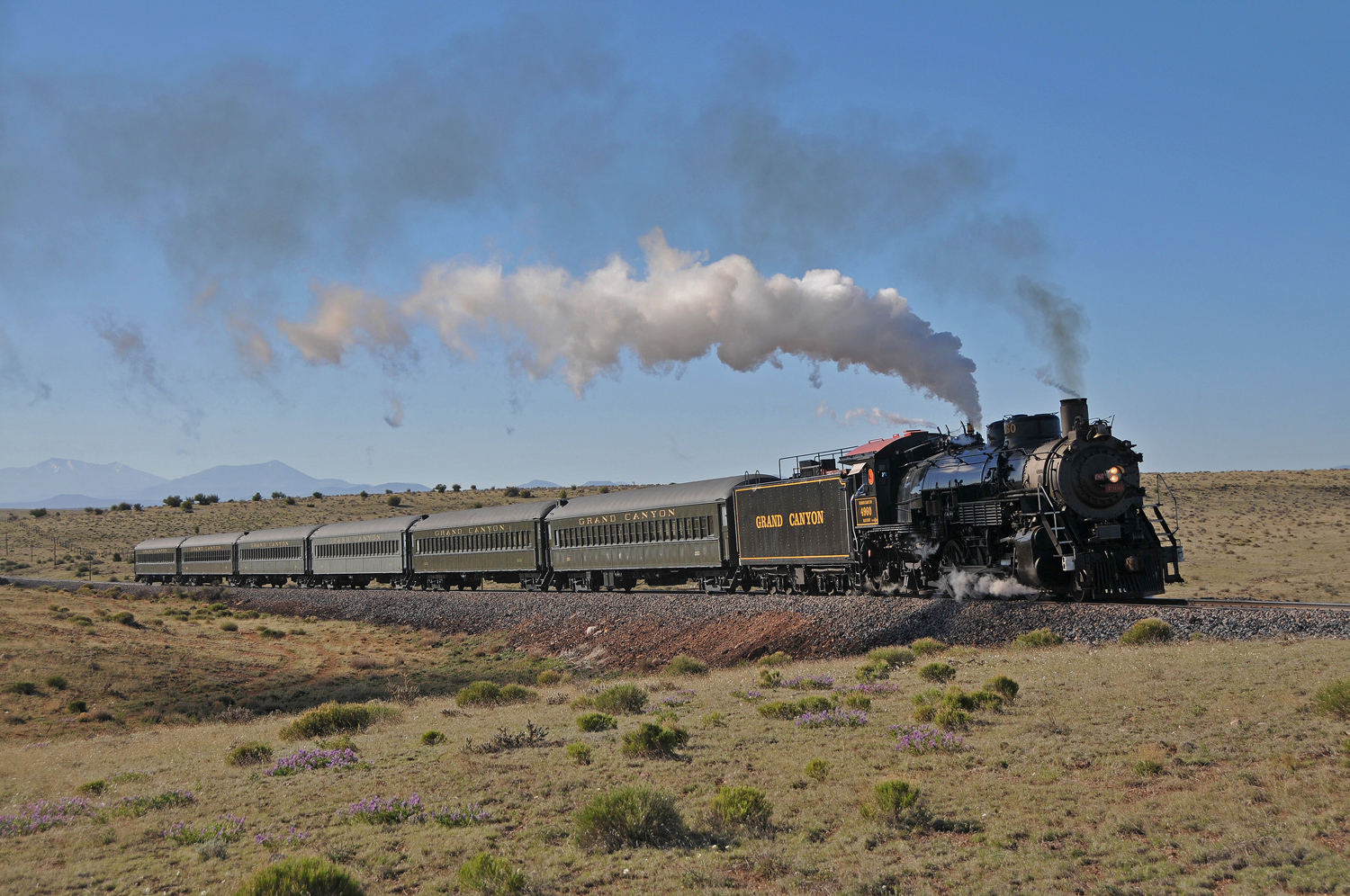 travel by train arizona