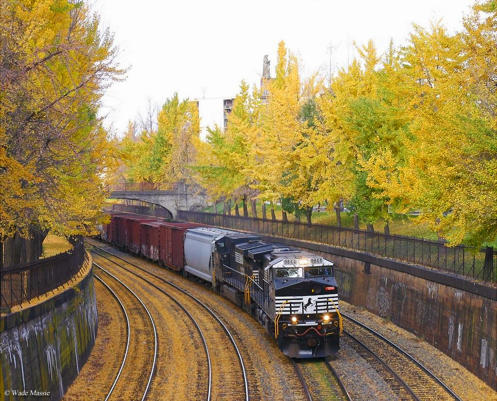 Train Rides Over The Years Themed Train Rides