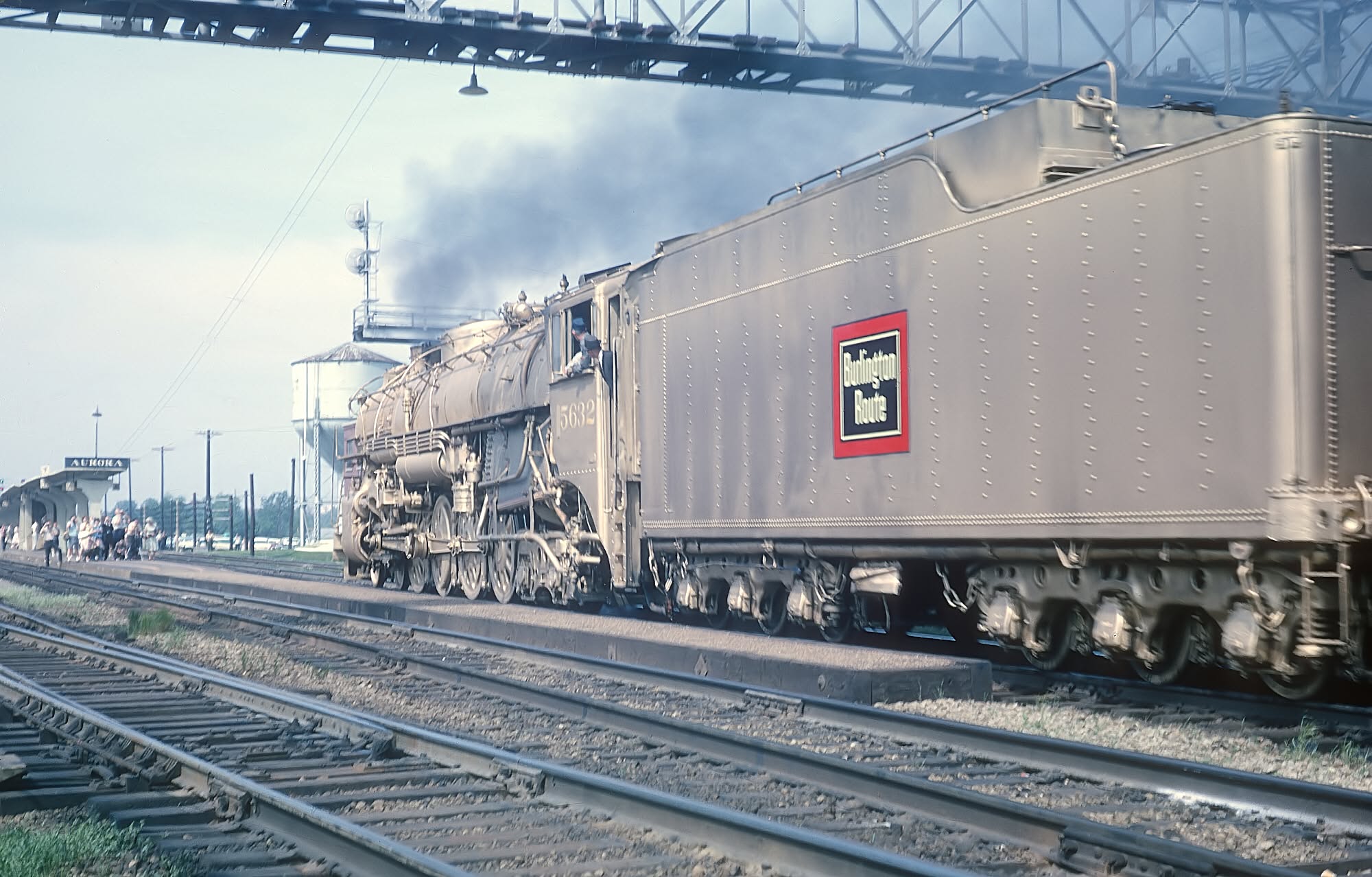 cbq-gold-5632.jpg