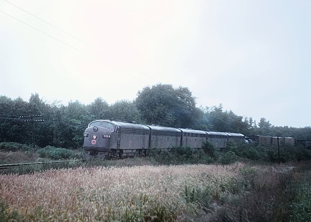 cgw-115-randoplh.jpg