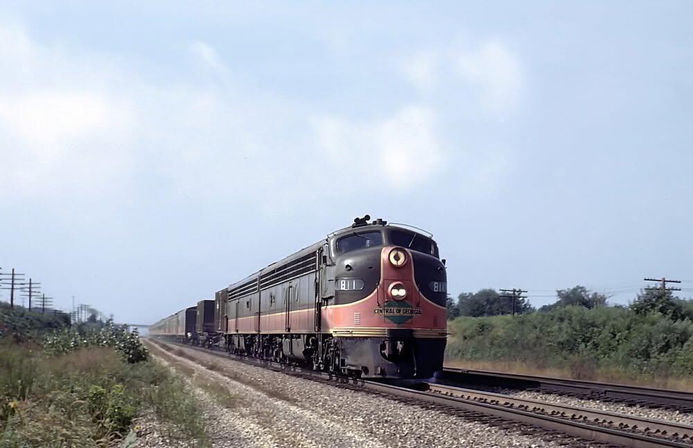 cog-e8-rb.jpg
