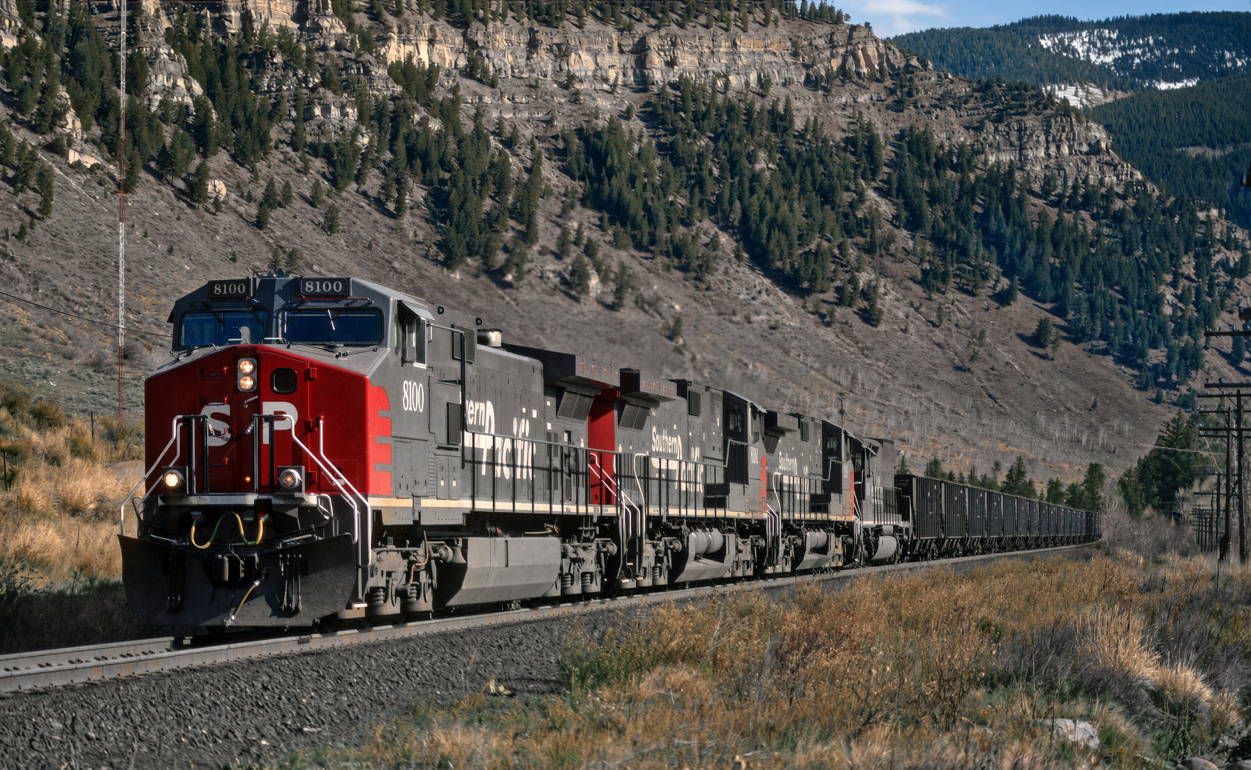 sp-c449ws-mb.jpg
