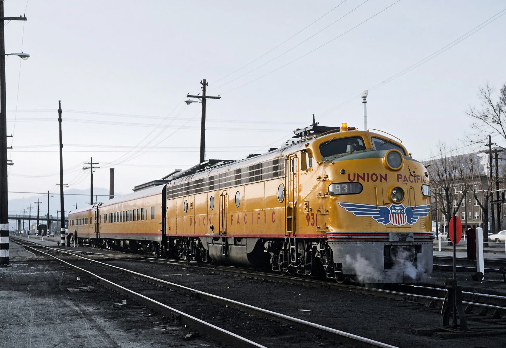 up-931-portlandrose.jpg