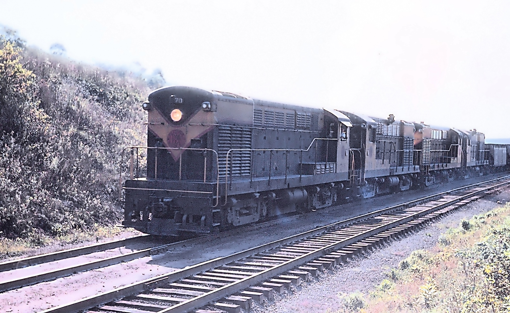 Pittsburgh and West Virginia H20-44s at Rook, Pennsylvania, in October 1960