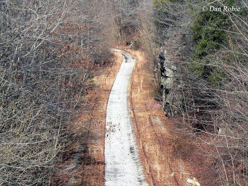 Buffalo Creek and Gauley Railroad