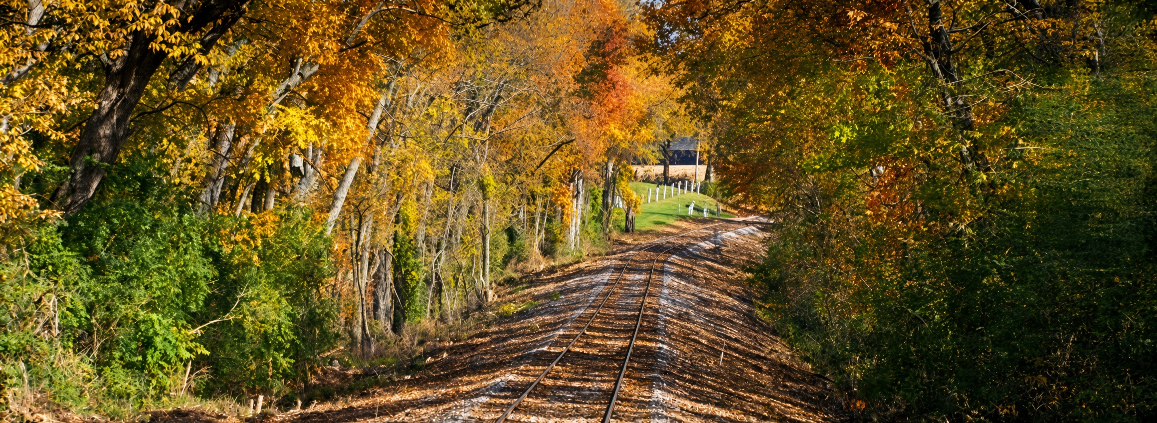 Bluegrass Scenic Railroad autumn colors through Kentucky
