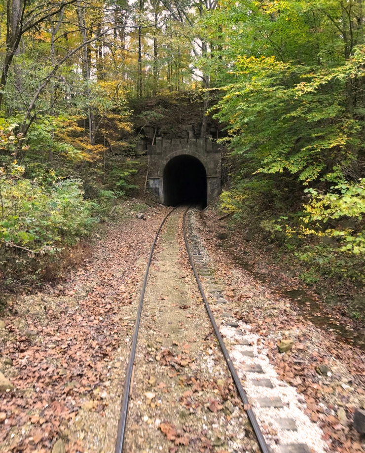 French Lick Scenic Railway train through southern Indiana fall forests